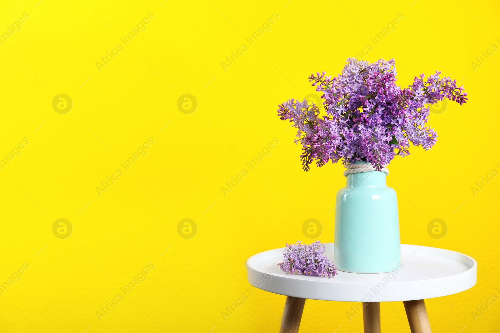 Photo of Blossoming lilac flowers in vase on table against color background. Space for text