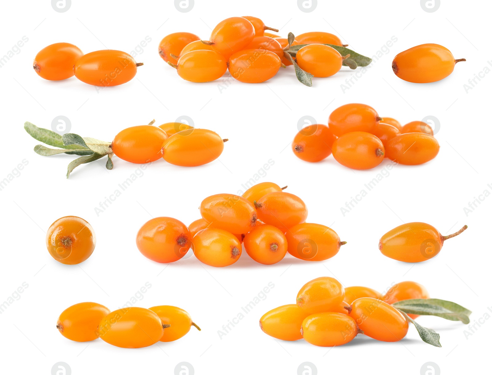 Image of Set with fresh ripe sea buckthorn berries on white background 