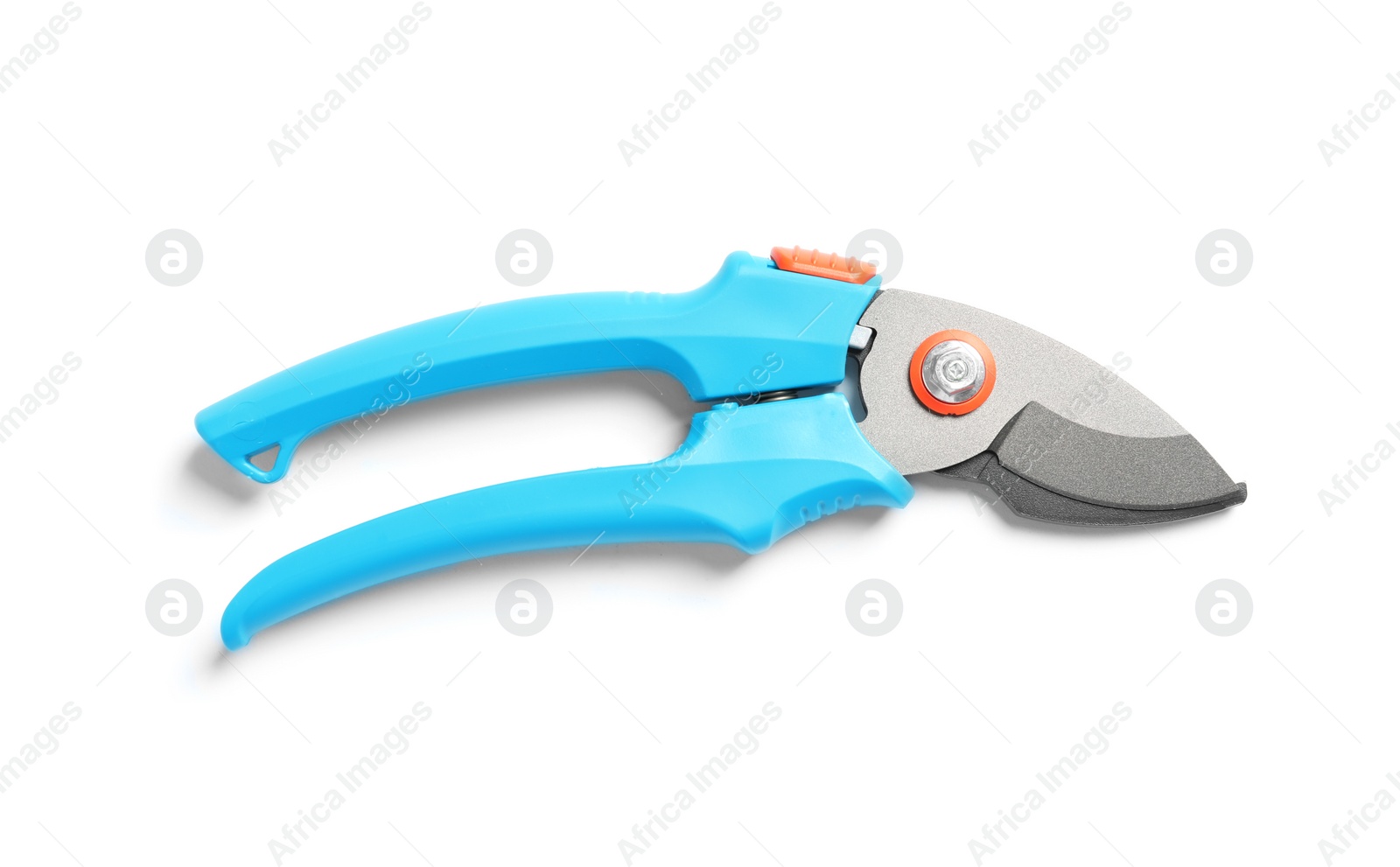 Photo of New pruner on white background. Professional gardening tool