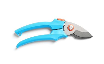 New pruner on white background. Professional gardening tool