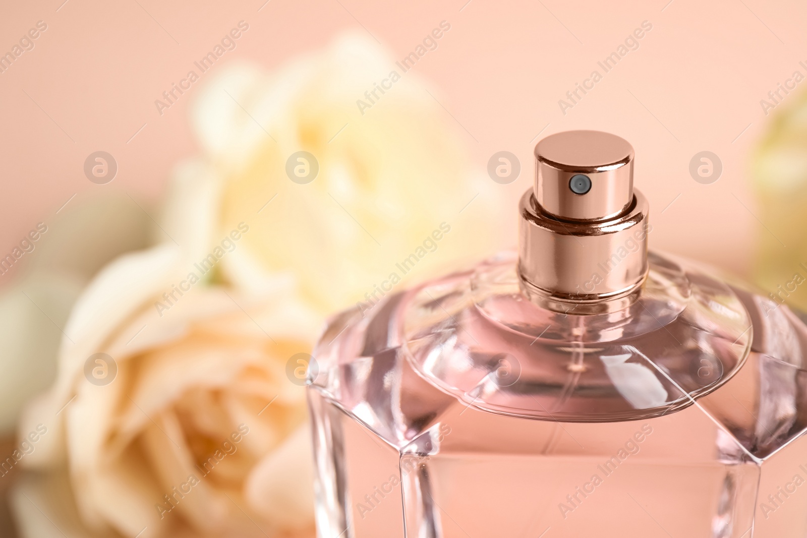 Photo of Bottle of perfume on blurred background, closeup. Space for text