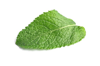 Fresh green mint leaf on white background