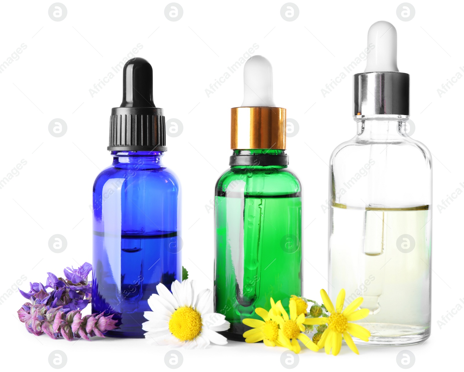 Photo of Bottles of herbal essential oils and wildflowers isolated on white