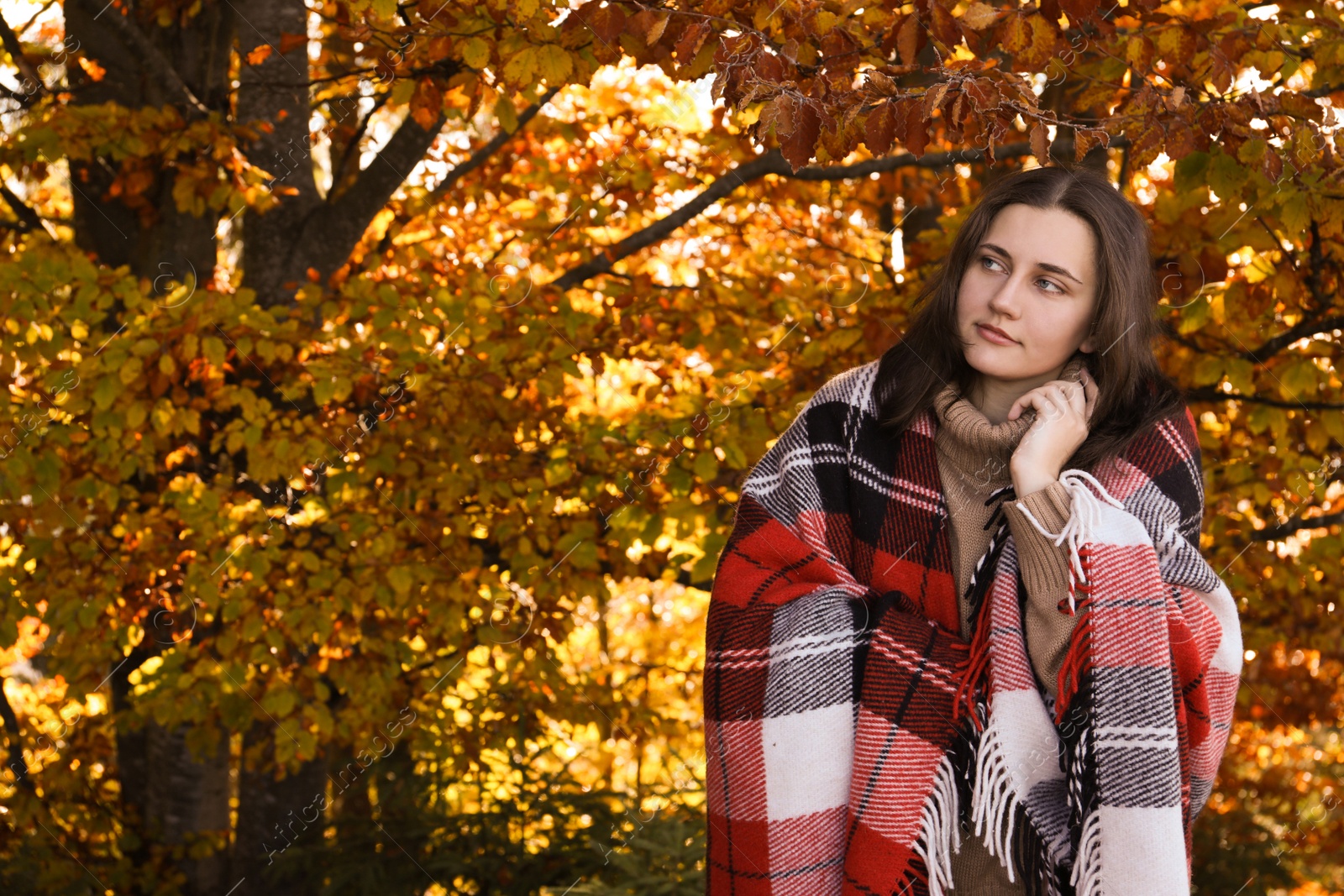 Photo of Portrait of beautiful young woman in autumn forest. Space for text