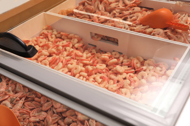 Photo of Different fresh raw shrimps on display. Wholesale market