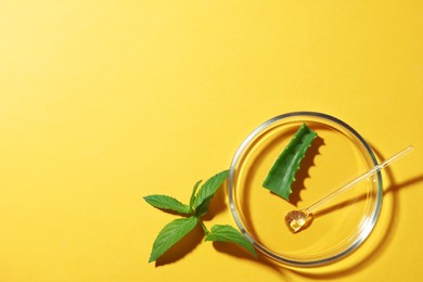 Photo of Petri dish and plants on yellow background, flat lay. Space for text