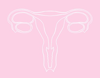 Image of Female reproductive system on pink background, illustration