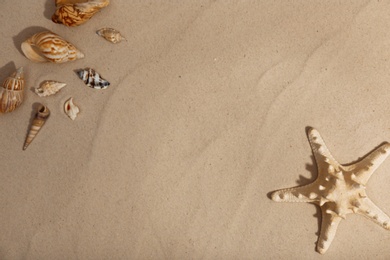 Photo of Starfish and seashells on beach sand, top view. Space for text