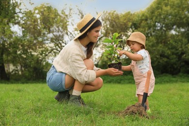 Mother and her baby daughter planting tree together in garden