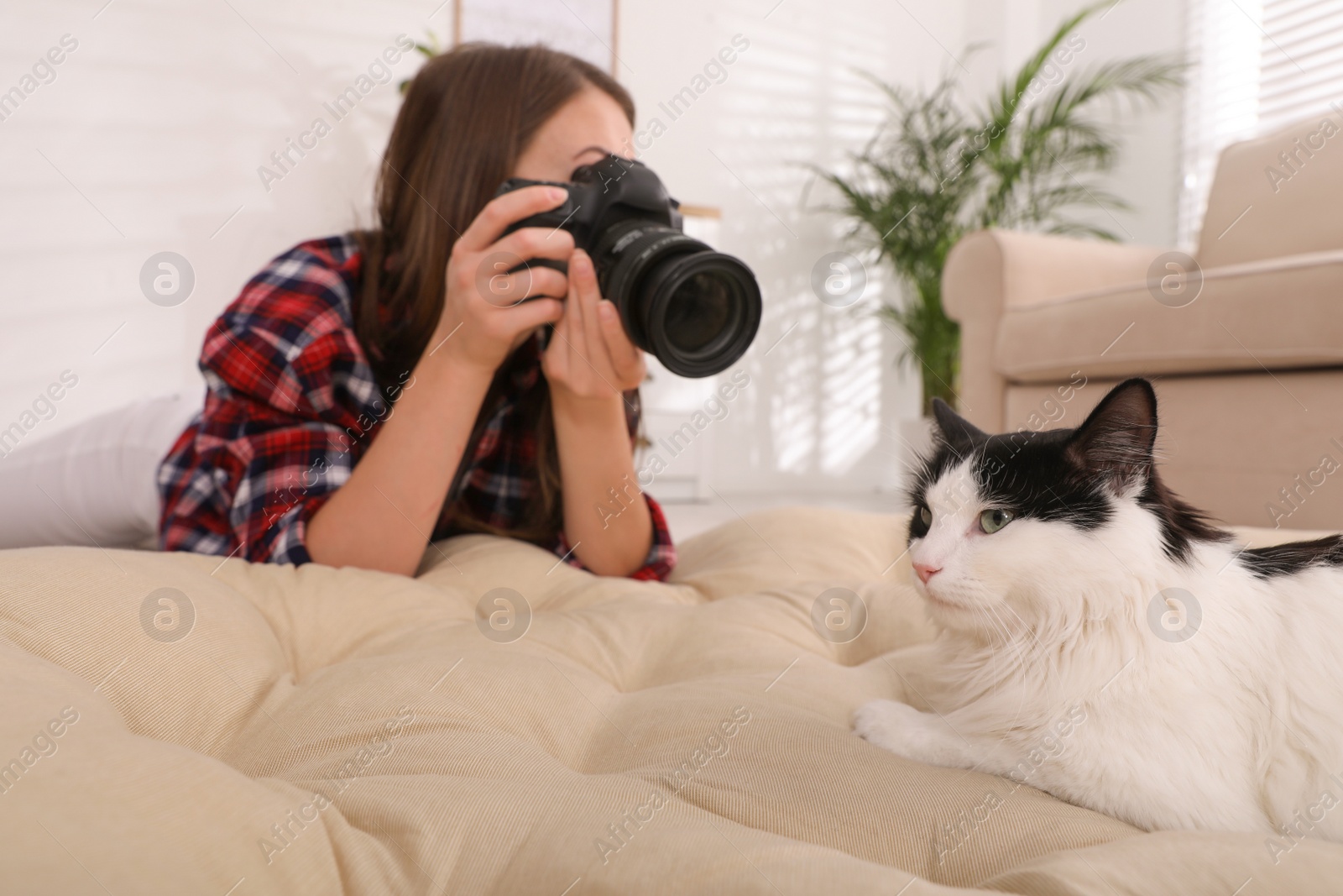 Photo of Professional animal photographer taking picture of beautiful cat at home