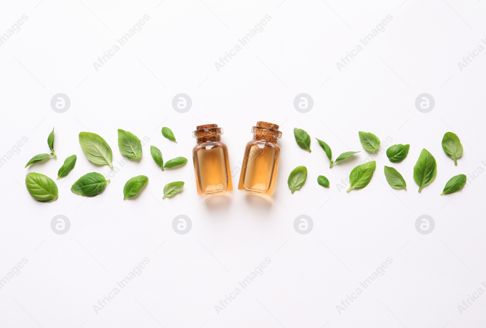 Photo of Bottles of essential basil oil and fresh leaves on white background, flat lay