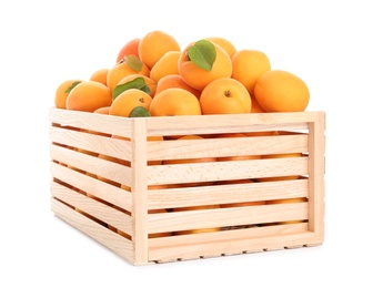 Wooden crate of delicious ripe sweet apricots isolated on white