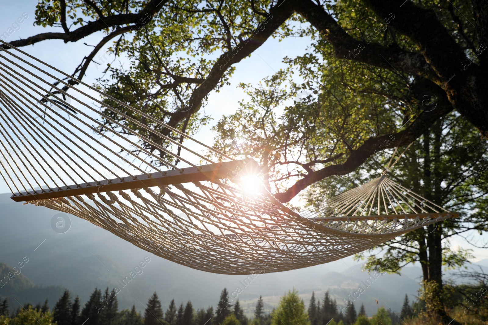 Photo of Comfortable net hammock outdoors on sunny day