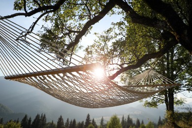 Comfortable net hammock outdoors on sunny day