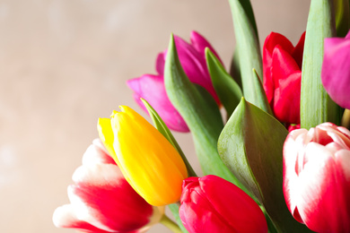 Photo of Beautiful spring tulips on light background, closeup