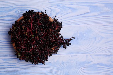 Photo of Tasty elderberries (Sambucus) on light blue wooden table, top view. Space for text