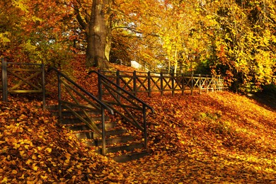 Stone stairs and fallen yellowed leaves in park