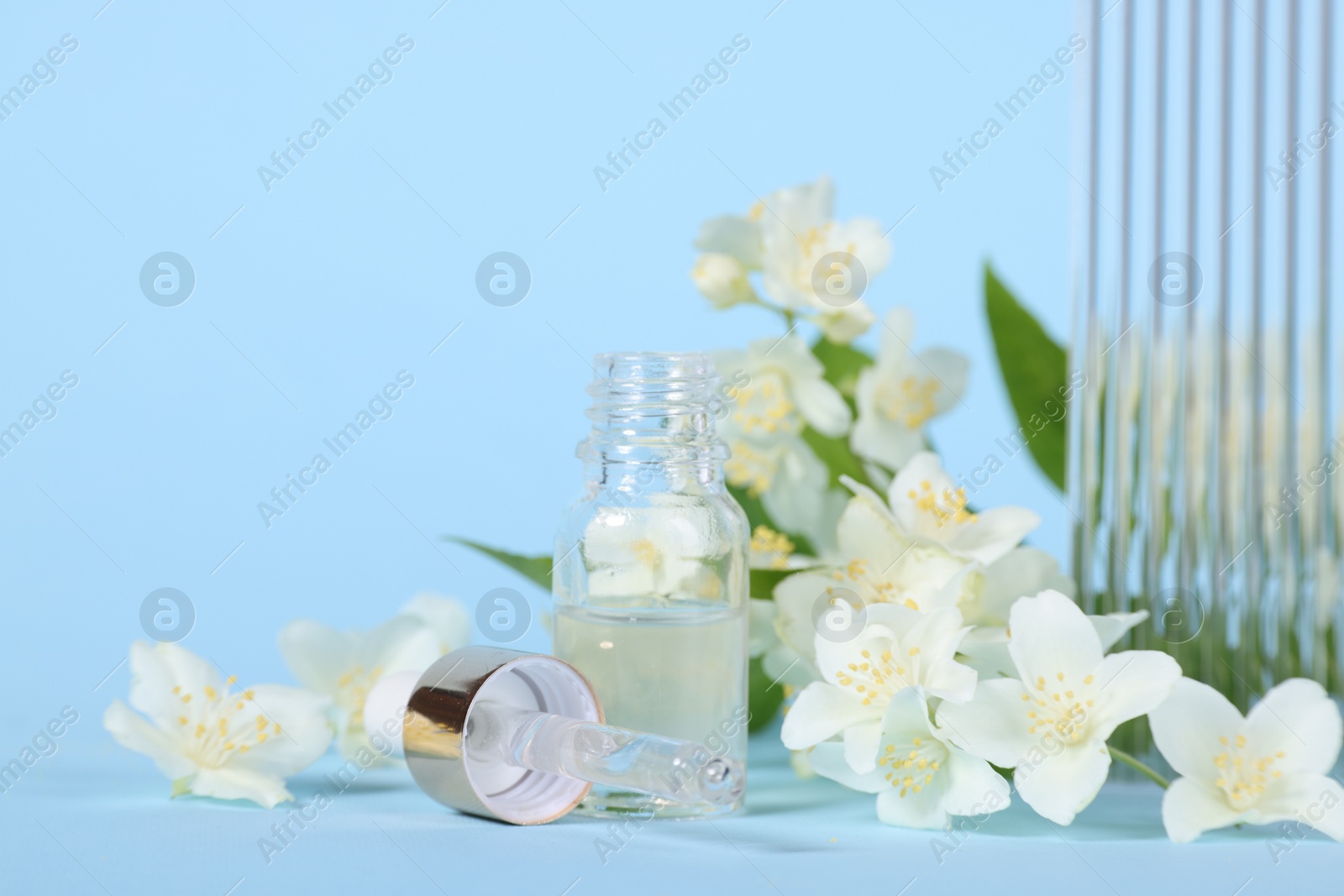 Photo of Essential oil in bottle and beautiful jasmine flowers on light blue background, closeup. Space for text