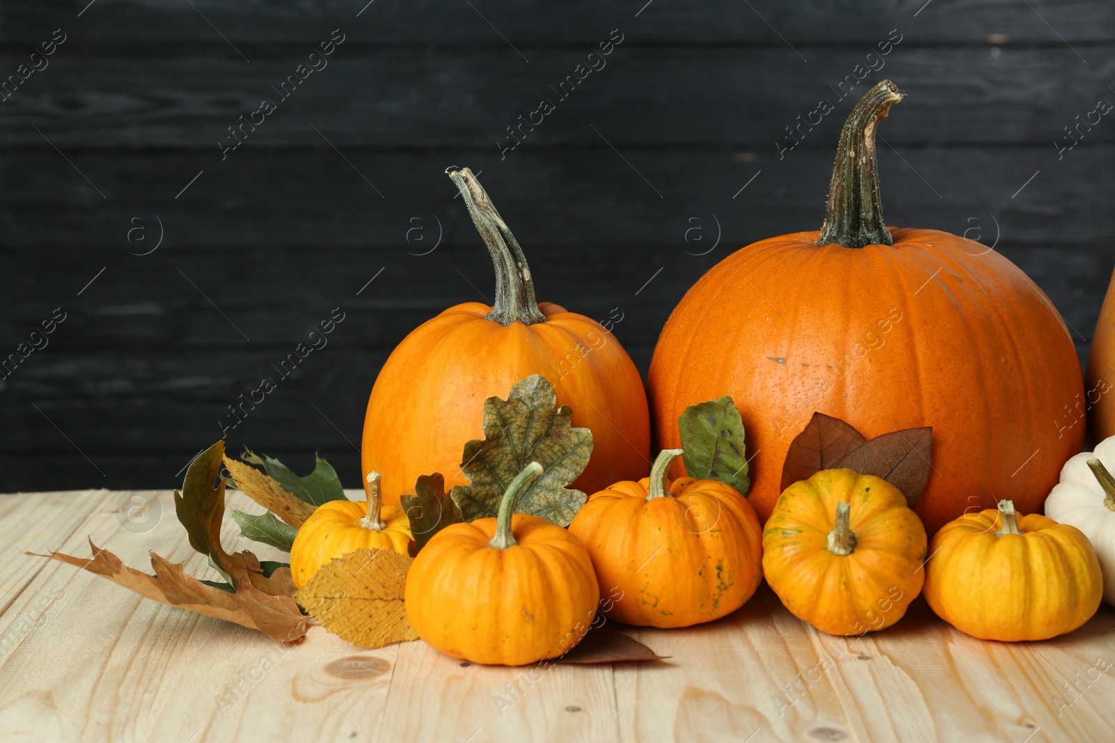 Photo of Thanksgiving day. Many different pumpkins and dry leaves on wooden table
