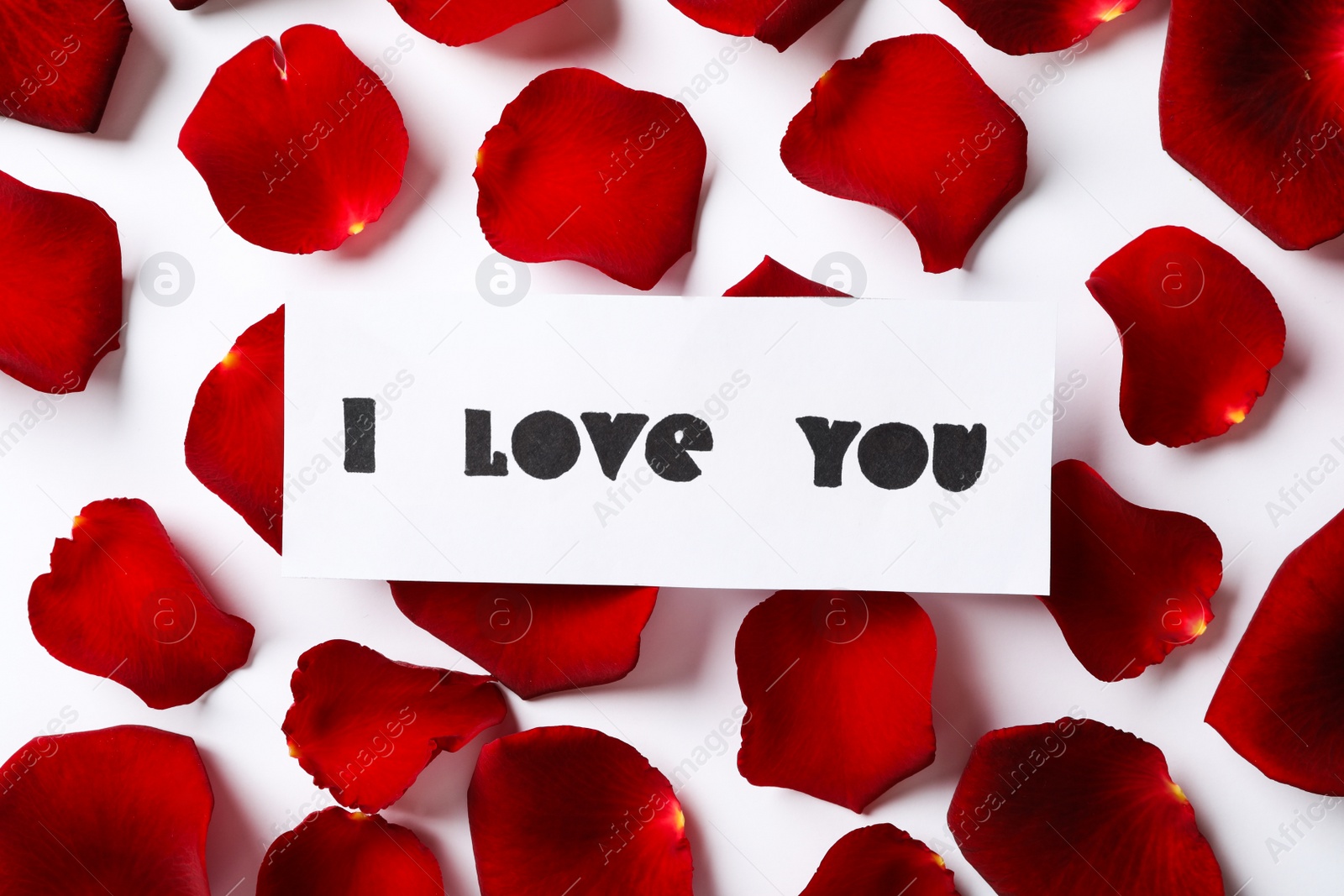 Photo of Card with text I Love You and red rose petals on white background, top view