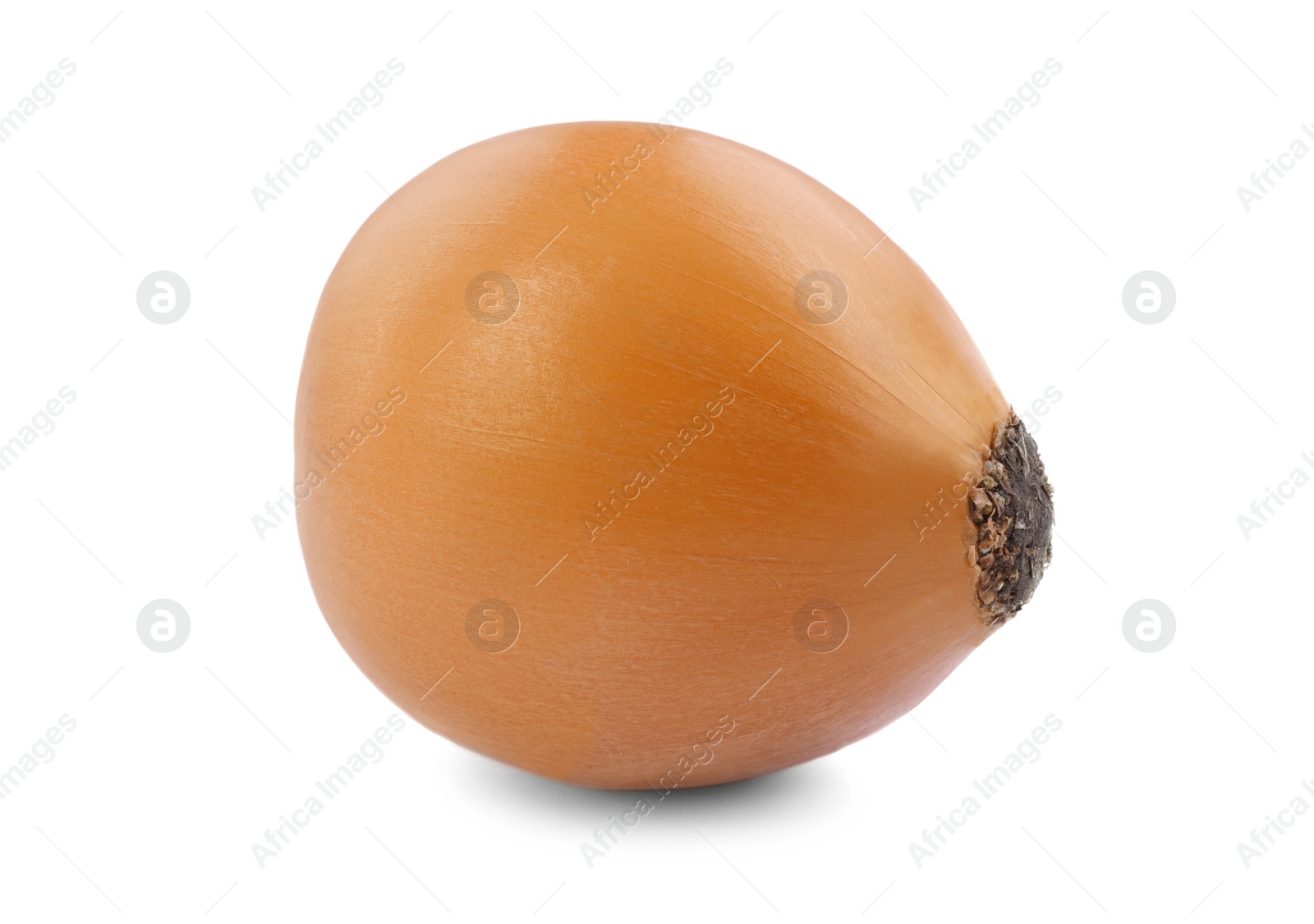 Photo of One yellow fresh onion isolated on white