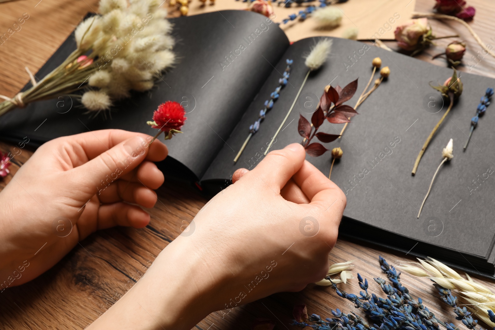 Photo of Woman making herbarium of dry flowers at wooden table, closeup