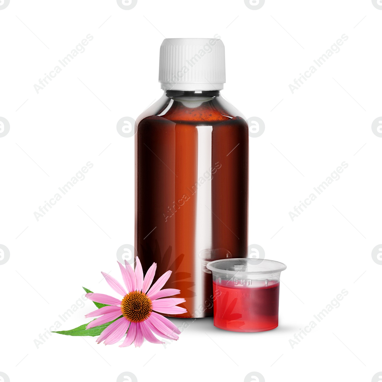 Image of Bottle of echinacea syrup and flower on white background