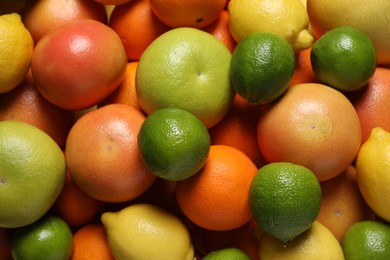 Photo of Different fresh citrus fruits as background, top view