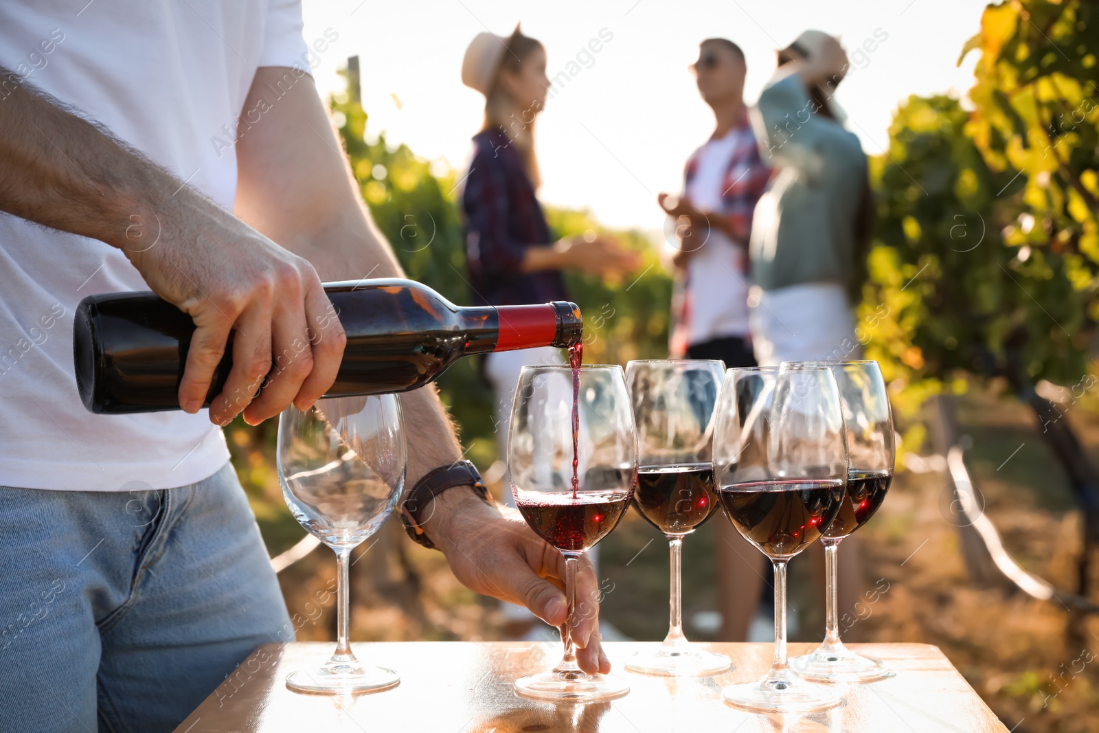 Photo of Man pouring wine from bottle into glasses at vineyard, closeup