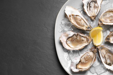 Photo of Delicious fresh oysters with lemon slices served on black slate table, top view. Space for text