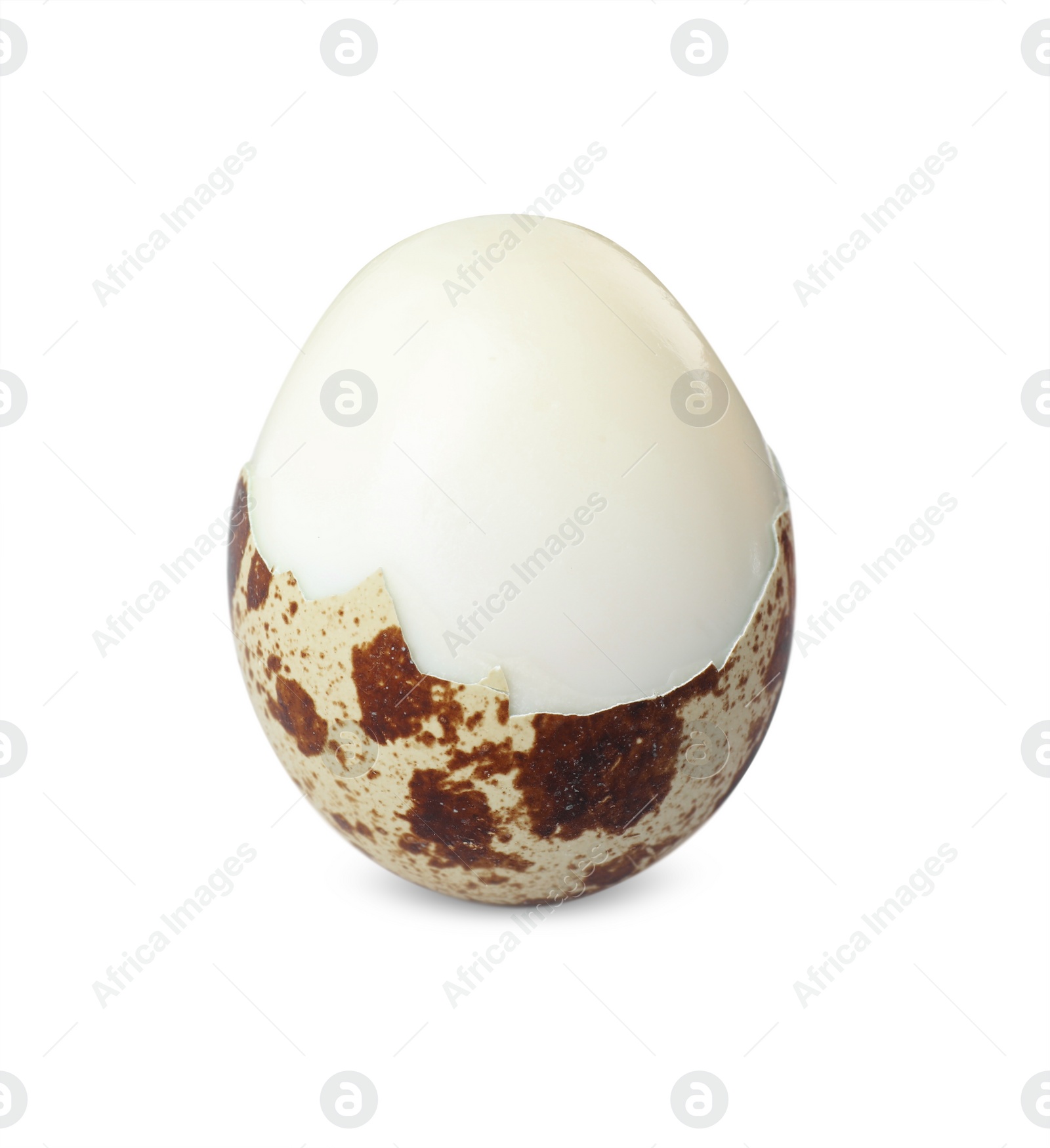 Photo of Boiled quail egg in shell isolated on white