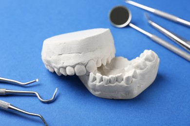 Dental model with gums and dentist tools on blue background. Cast of teeth