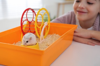 Little girl playing with cute hamster at home, focus on pet