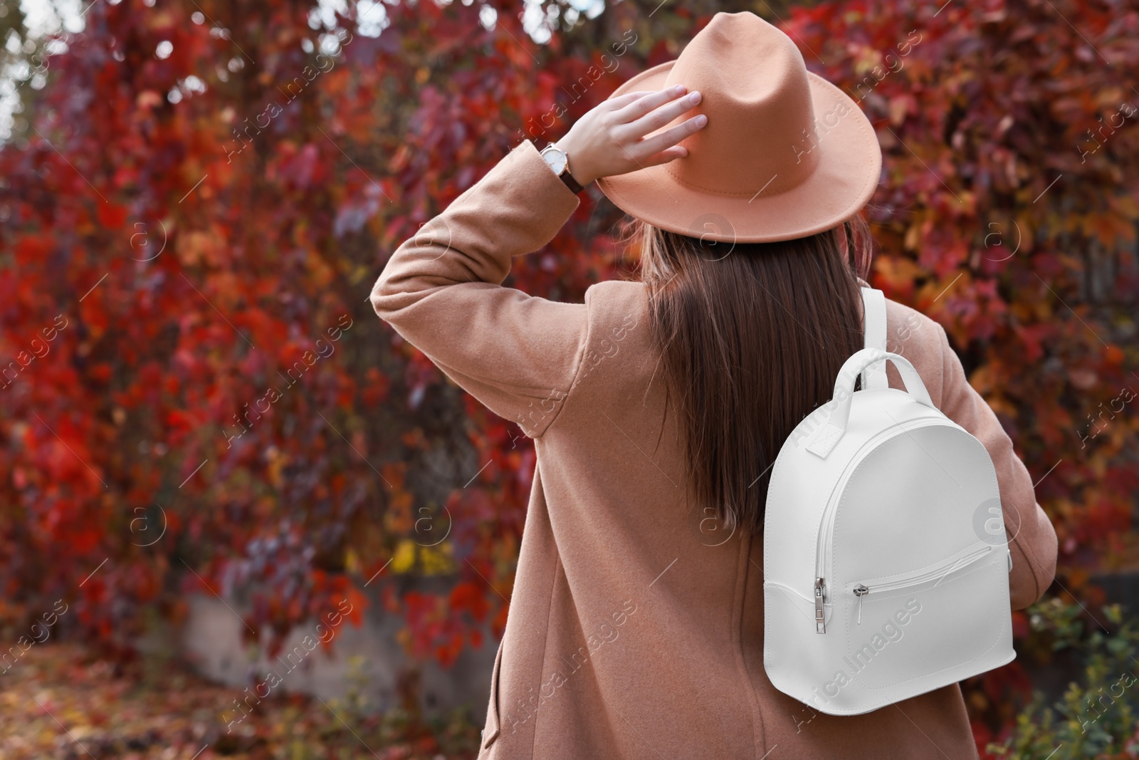 Photo of Young woman with stylish white backpack in autumn park, back view