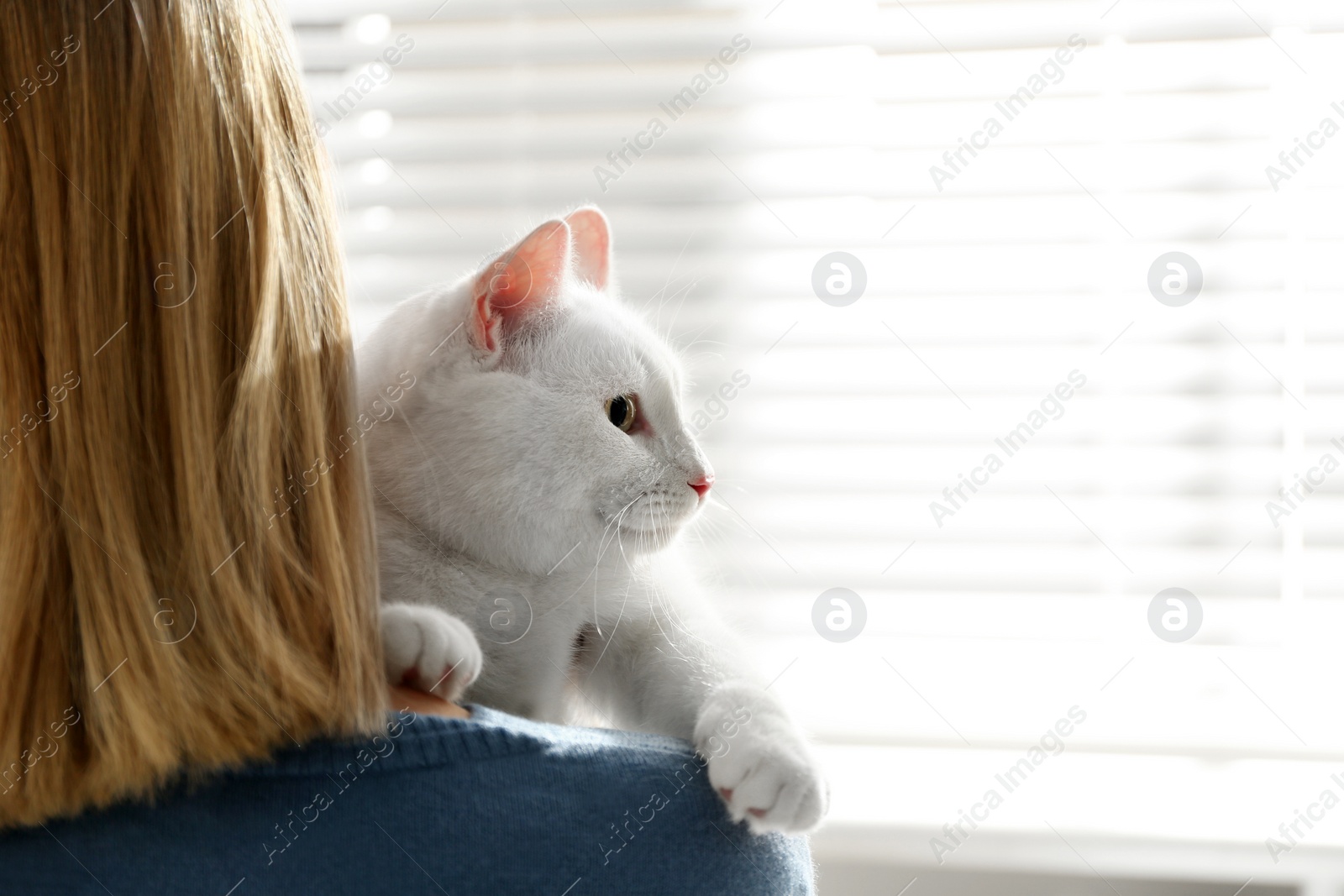Photo of Young woman with her beautiful white cat at home, space for text. Fluffy pet