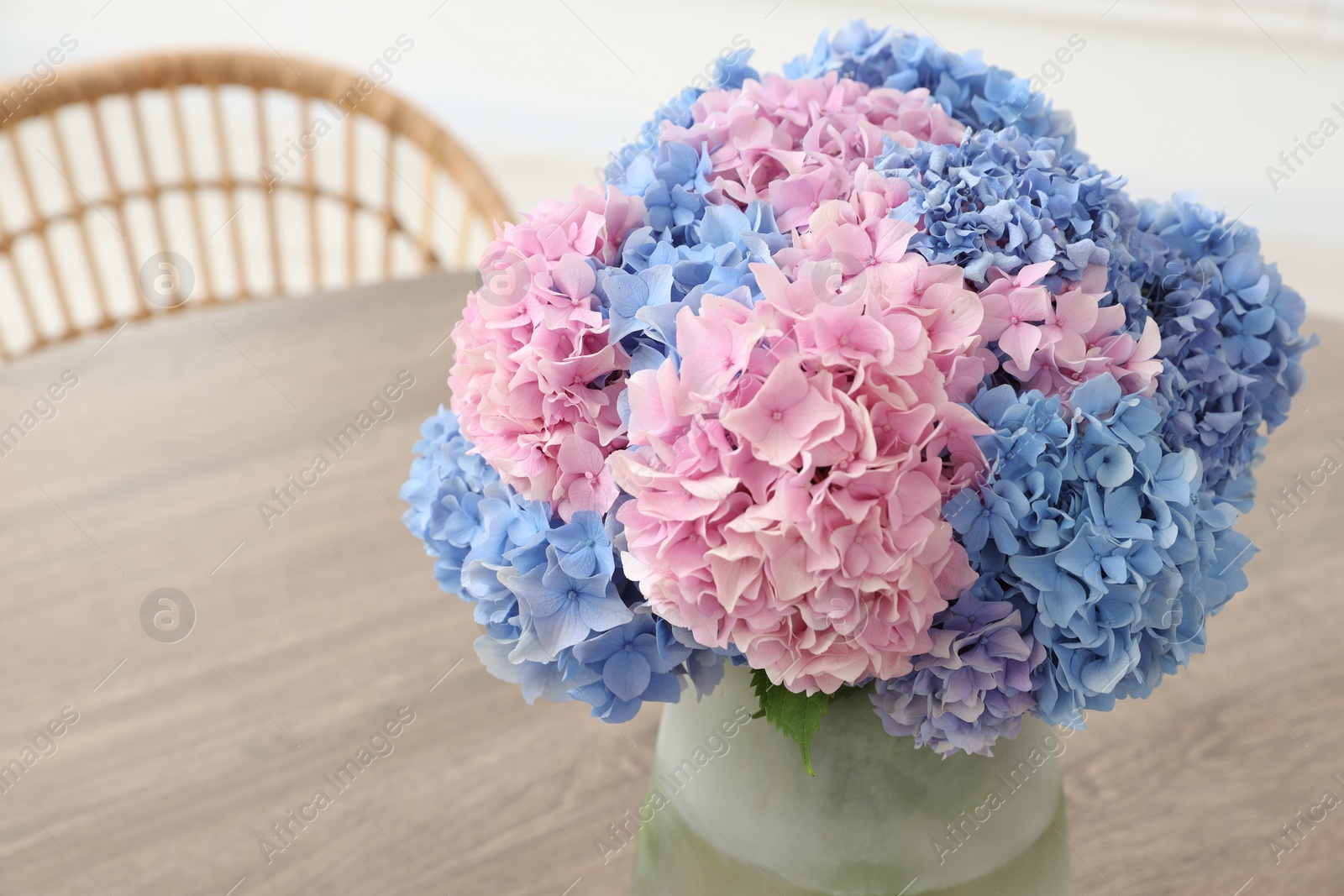 Photo of Vase with beautiful hydrangea flowers on wooden table indoors, closeup. Space for text