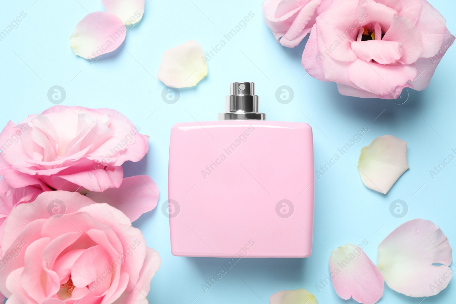 Photo of Flat lay composition with bottle of perfume and flowers on light blue background