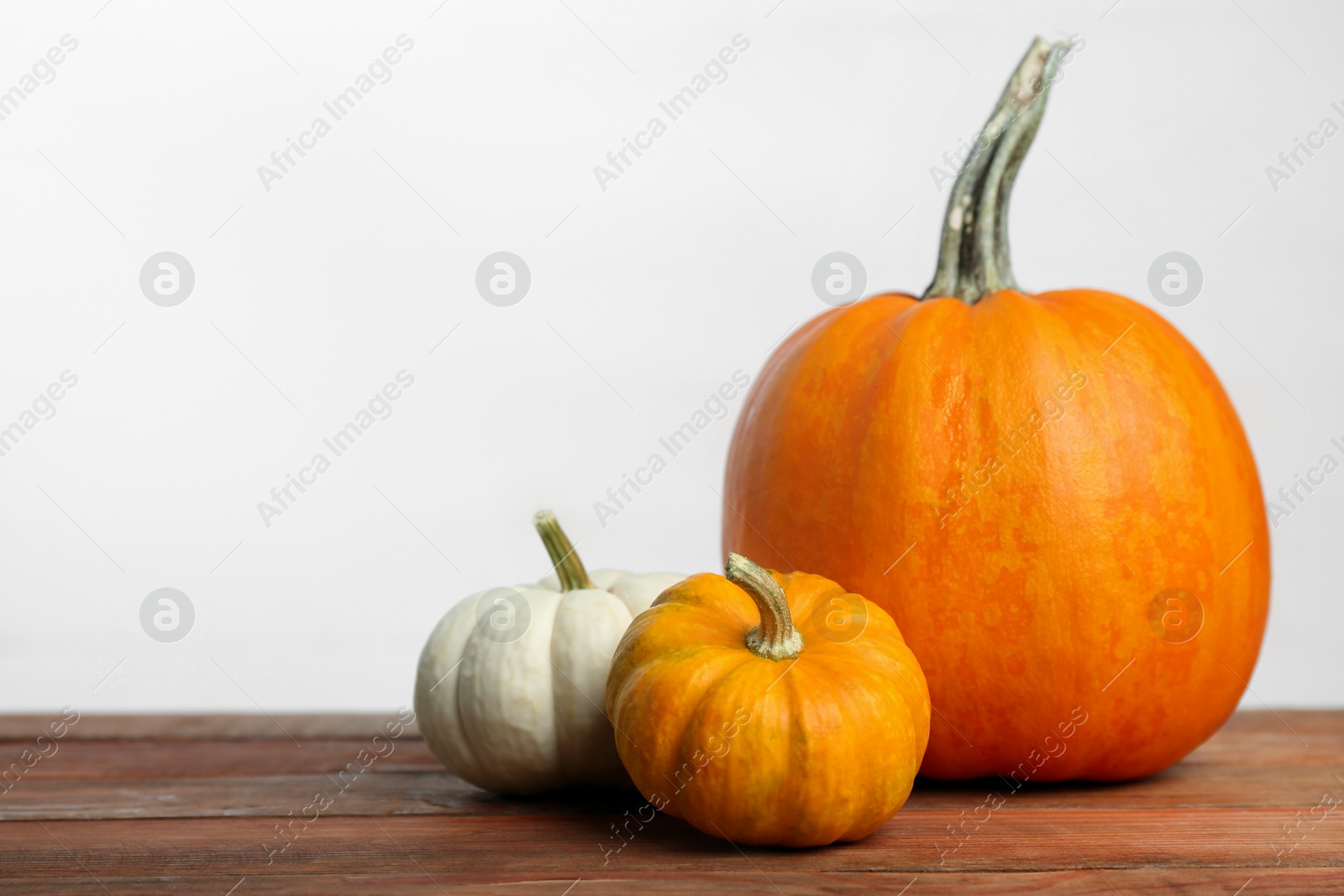 Photo of Thanksgiving day. Many different pumpkins on wooden table, space for text