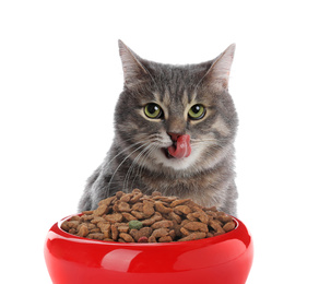 Image of Cute gray tabby cat and feeding bowl with dry food on white background. Lovely pet