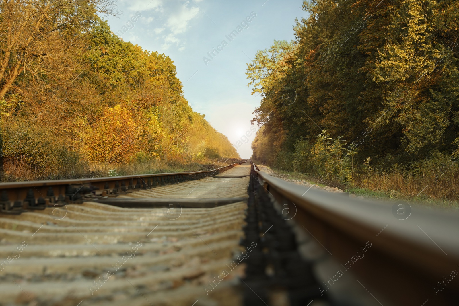 Photo of Picturesque view of railway near green autumn forest