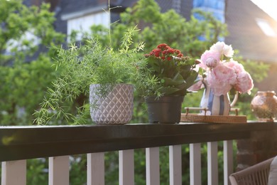 Photo of Balcony garden. Different plants growing on railings outdoors