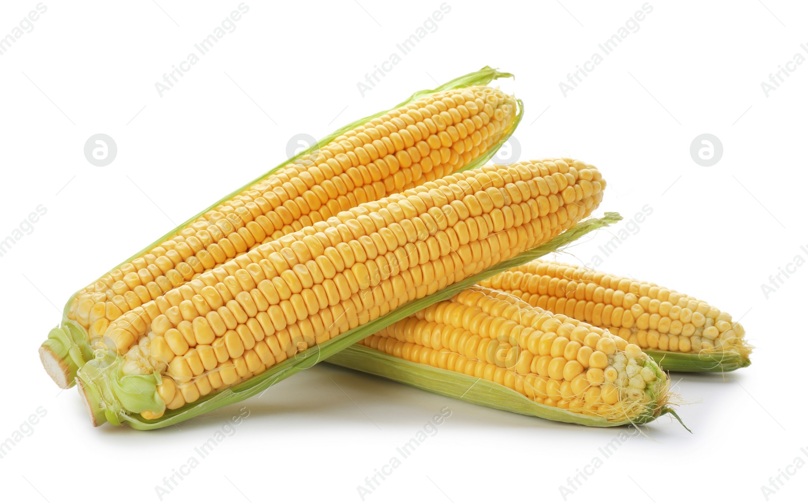 Photo of Tasty sweet corn cobs on white background