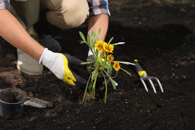 Man planting flowers outdoors, closeup. Gardening time