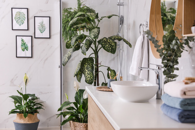 Photo of Green plants in elegant modern bathroom. Interior design