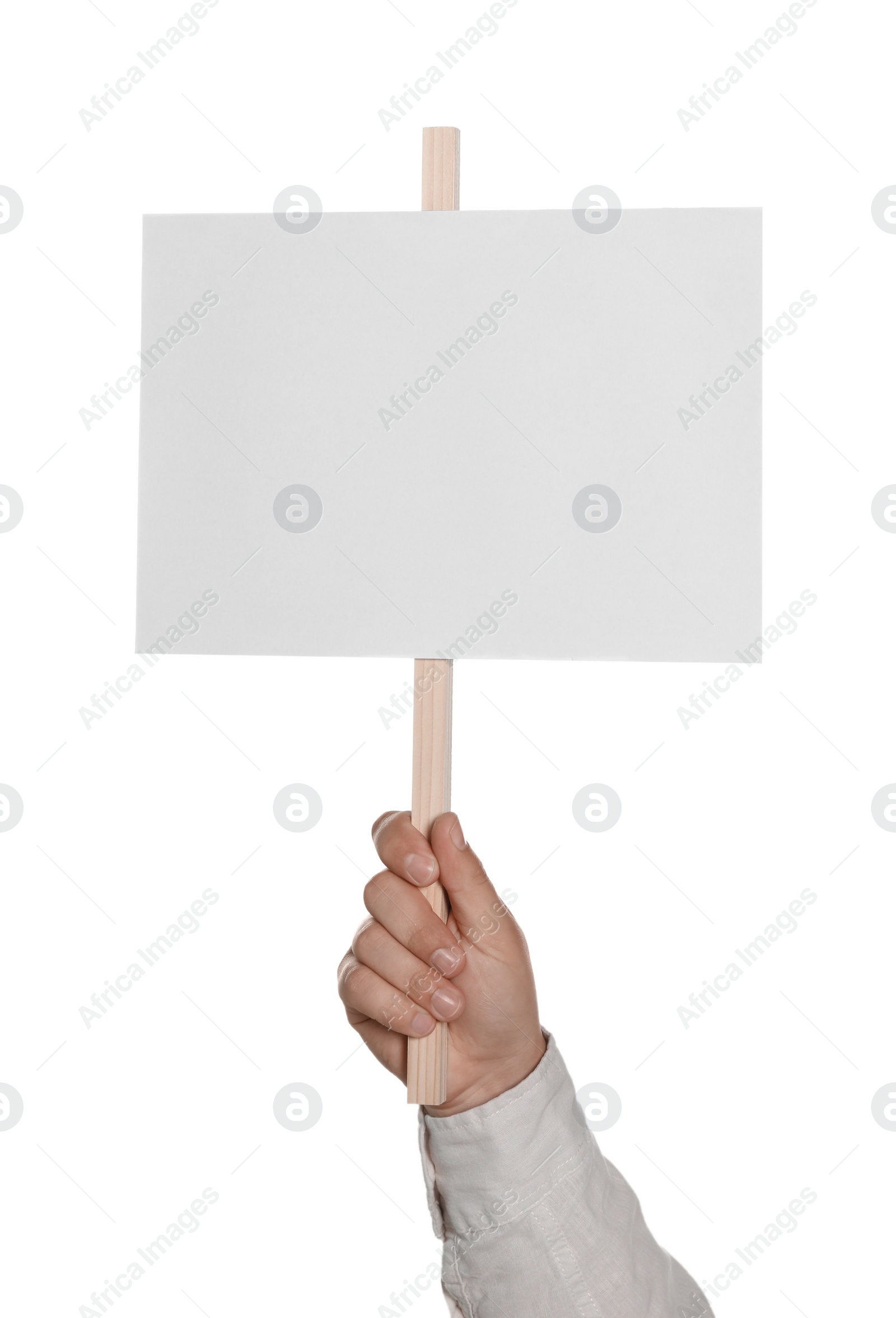 Photo of Man holding blank protest sign on white background, closeup