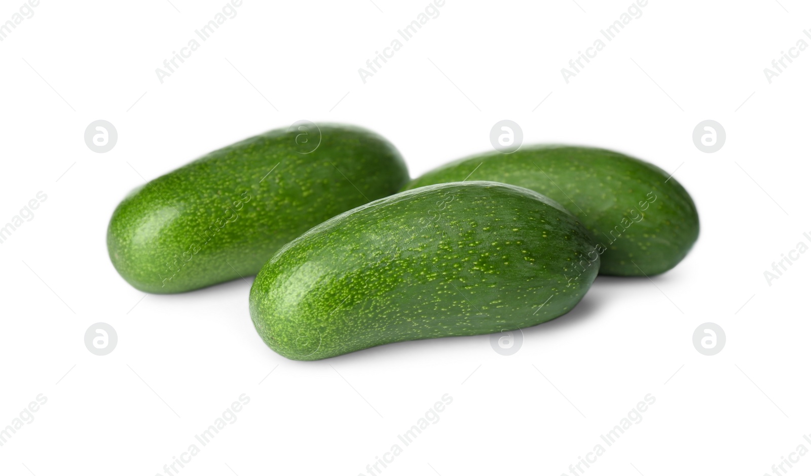 Photo of Fresh whole seedless avocados isolated on white