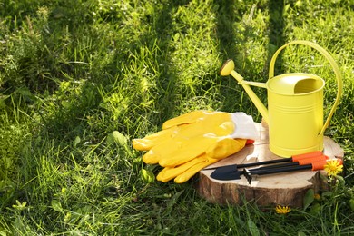 Pair of gloves, gardening tools and watering can on wooden stump among grass outdoors, space for text