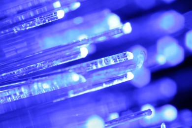 Photo of Optical fiber strands transmitting blue light, macro view