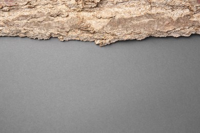 Photo of Tree bark piece on gray background, top view. Space for text