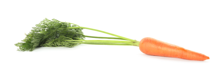 Photo of Fresh ripe juicy carrot isolated on white